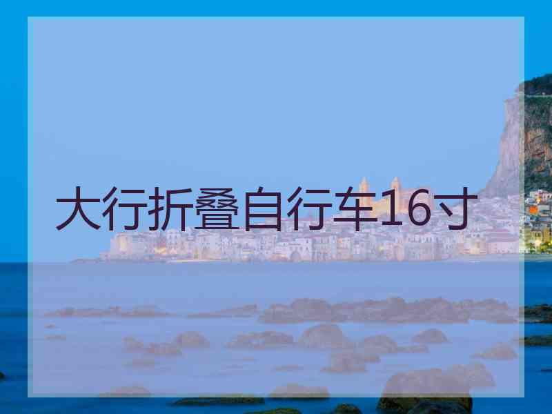 大行折叠自行车16寸