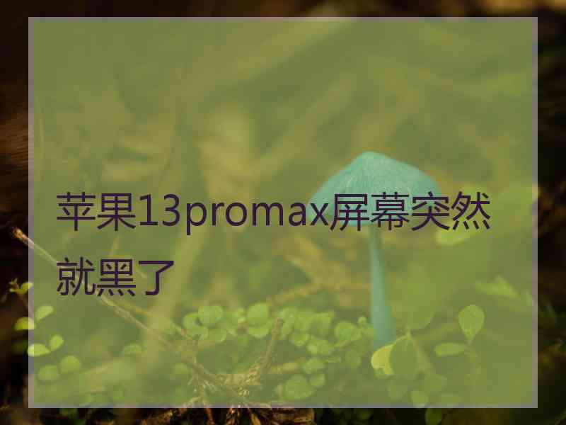 苹果13promax屏幕突然就黑了