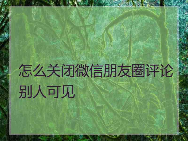 怎么关闭微信朋友圈评论别人可见