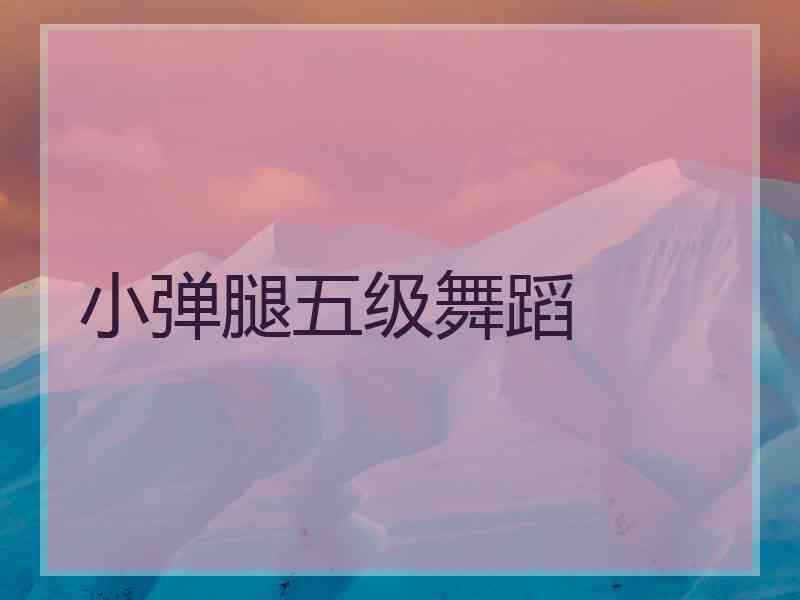 小弹腿五级舞蹈