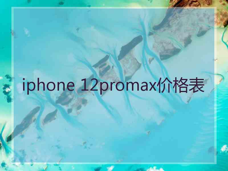 iphone 12promax价格表