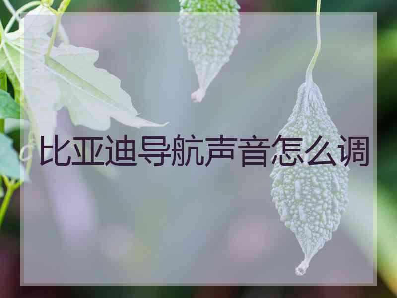 比亚迪导航声音怎么调