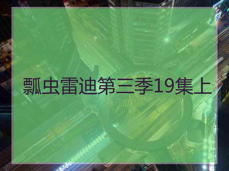 瓢虫雷迪第三季19集上