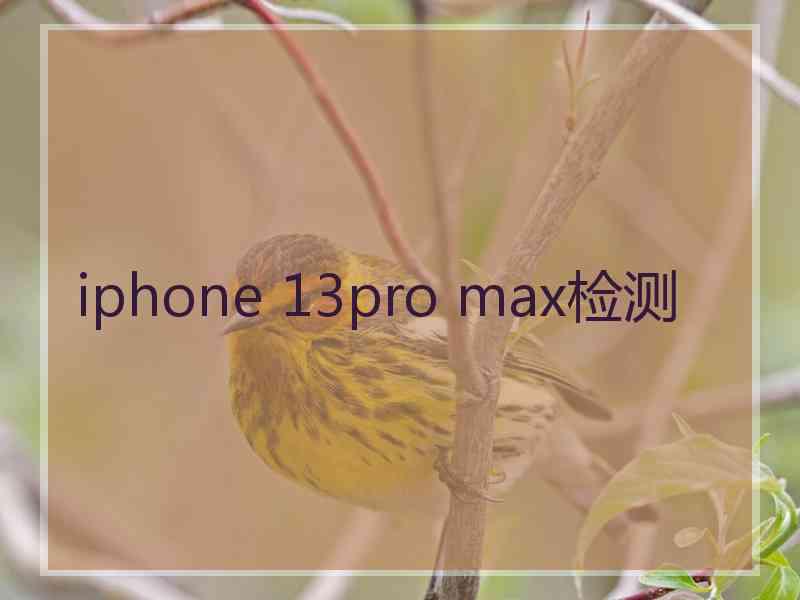iphone 13pro max检测