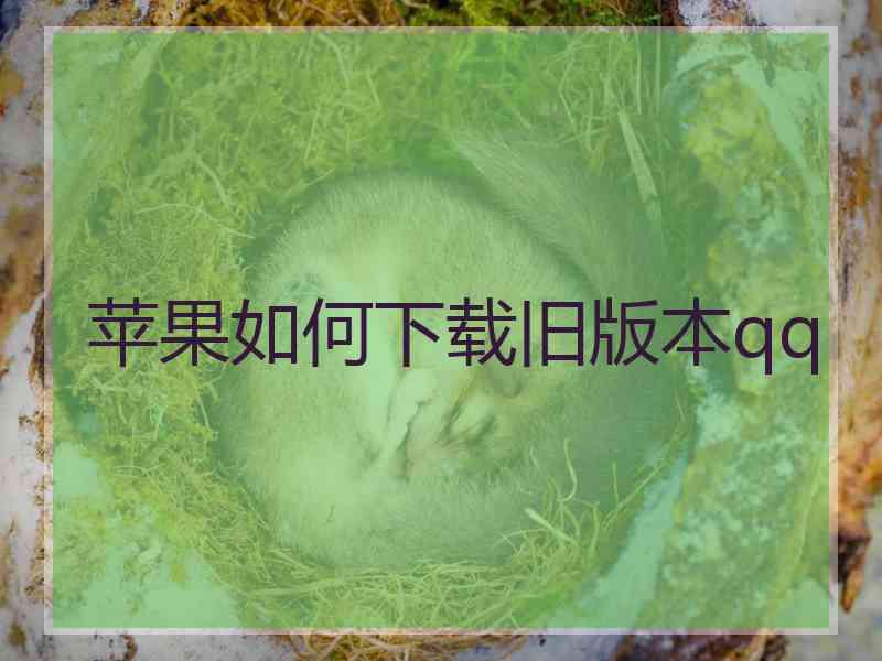 苹果如何下载旧版本qq