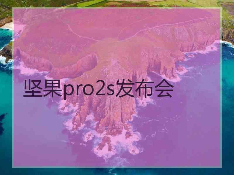 坚果pro2s发布会