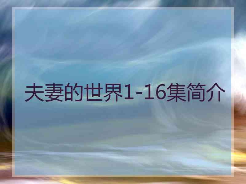 夫妻的世界1-16集简介