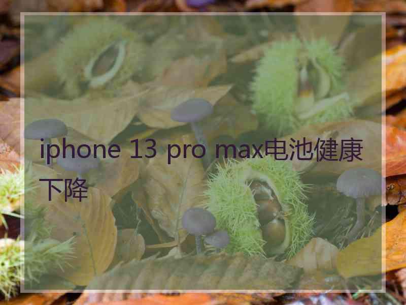 iphone 13 pro max电池健康下降