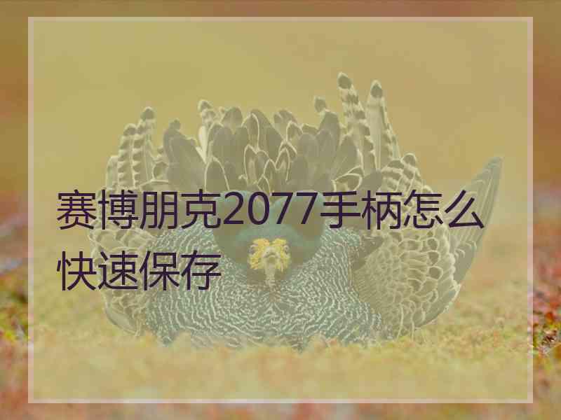 赛博朋克2077手柄怎么快速保存