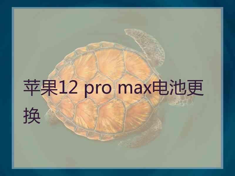 苹果12 pro max电池更换