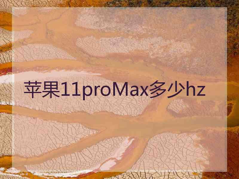 苹果11proMax多少hz