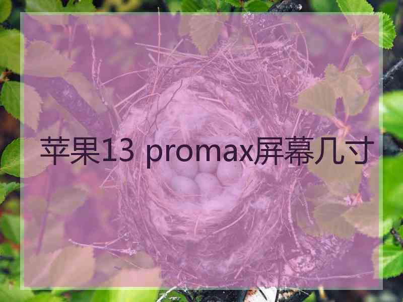 苹果13 promax屏幕几寸