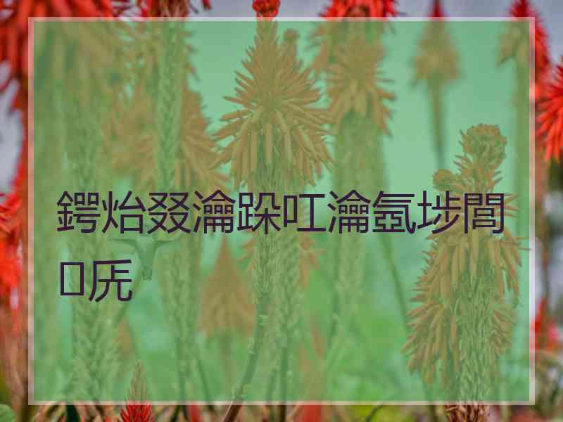 鍔炲叕瀹跺叿瀹氬埗閭兏