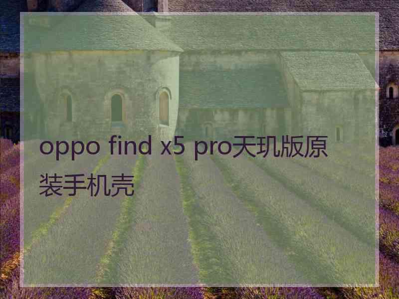 oppo find x5 pro天玑版原装手机壳