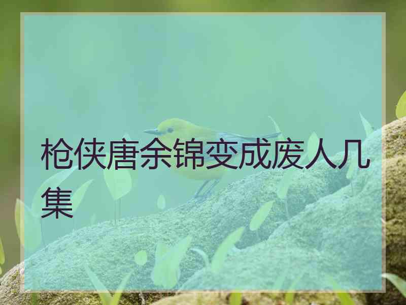 枪侠唐余锦变成废人几集