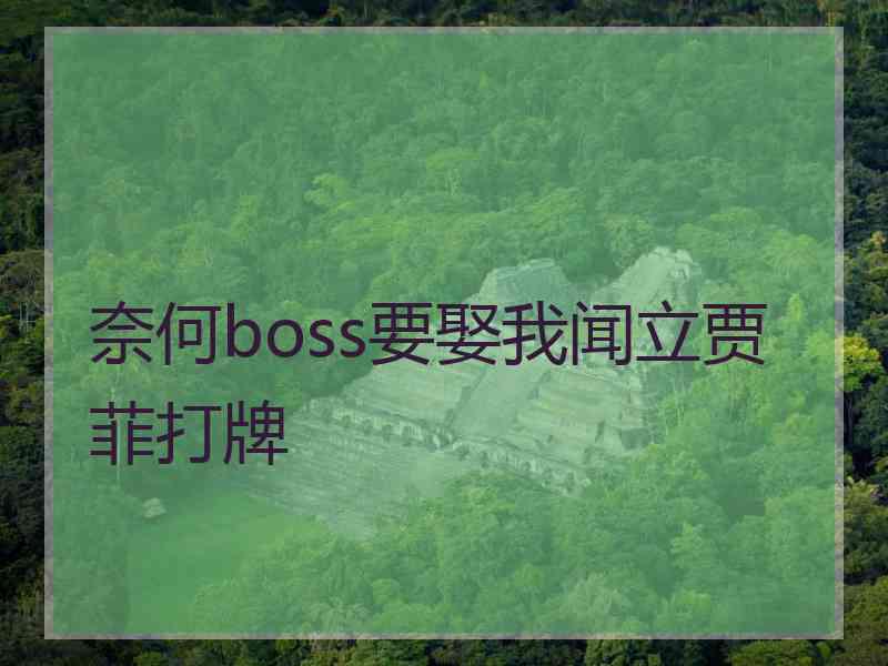 奈何boss要娶我闻立贾菲打牌