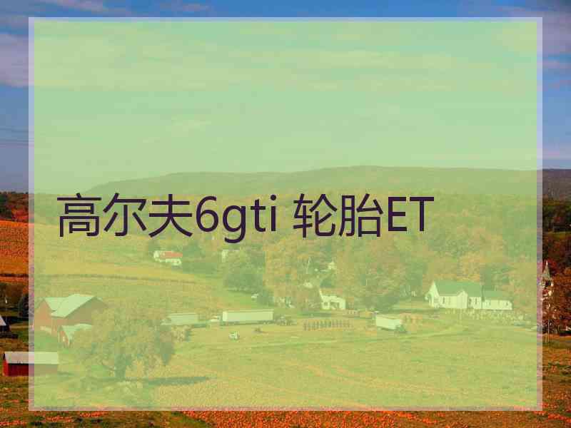 高尔夫6gti 轮胎ET