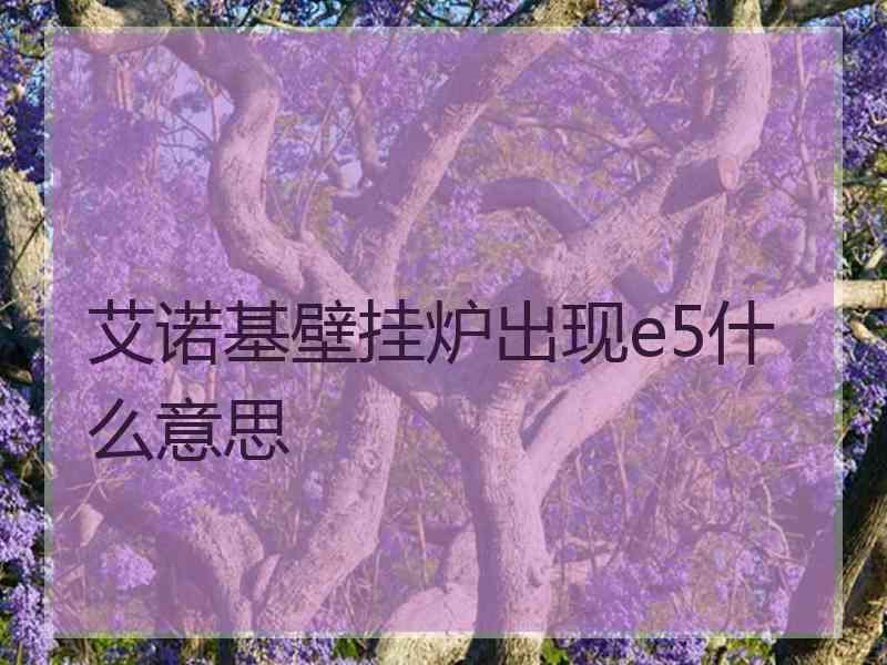 艾诺基壁挂炉出现e5什么意思