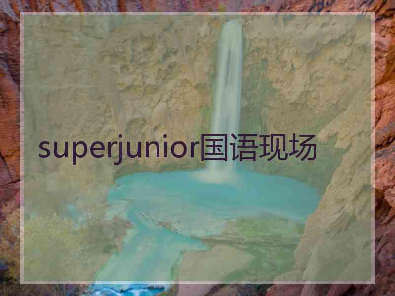 superjunior国语现场