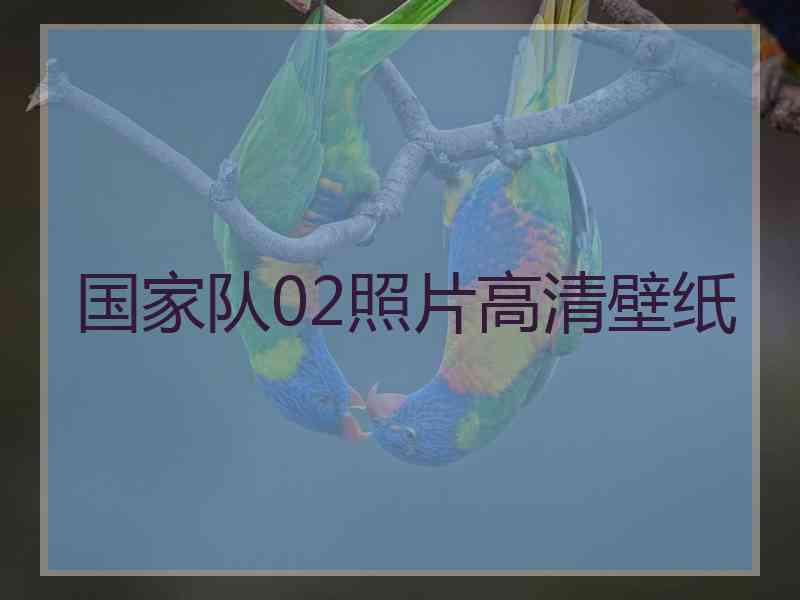 国家队02照片高清壁纸