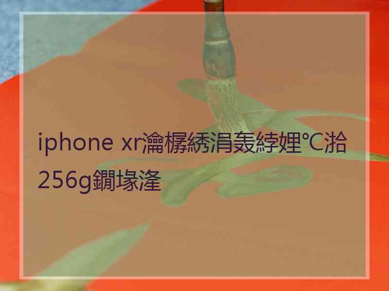 iphone xr瀹樼綉涓轰綍娌℃湁256g鐗堟湰