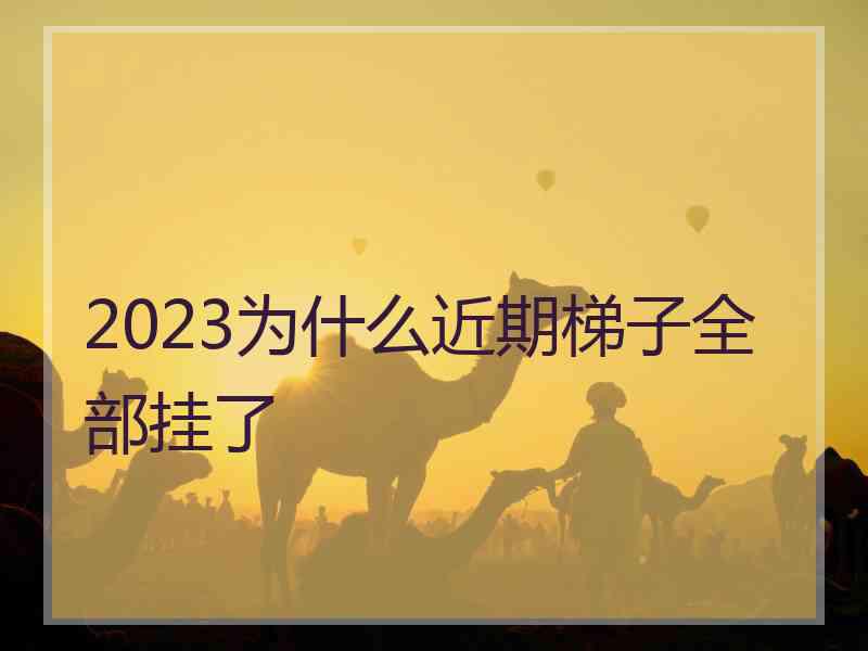 2023为什么近期梯子全部挂了