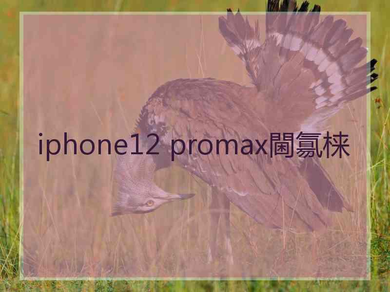 iphone12 promax閫氱梾