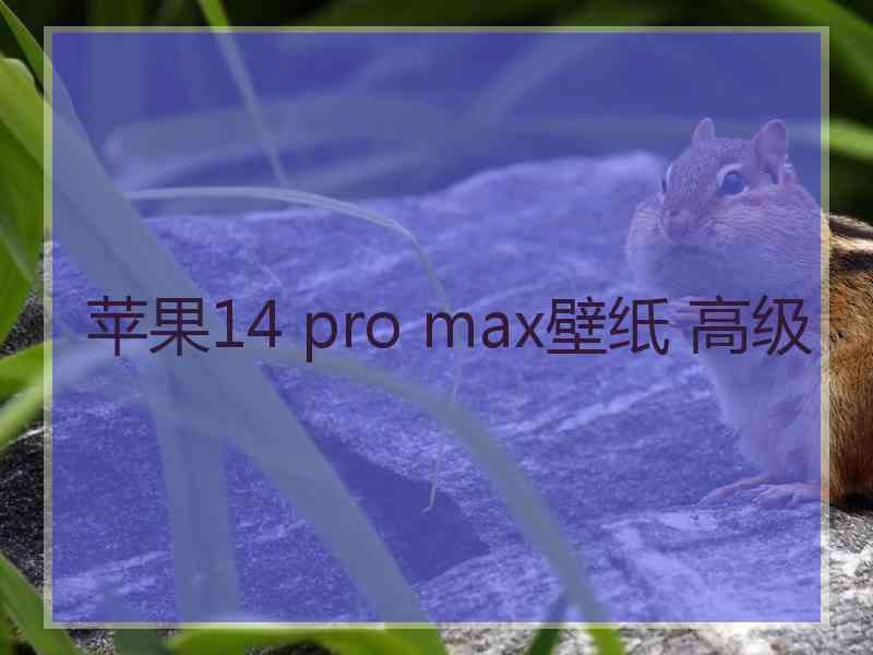 苹果14 pro max壁纸 高级