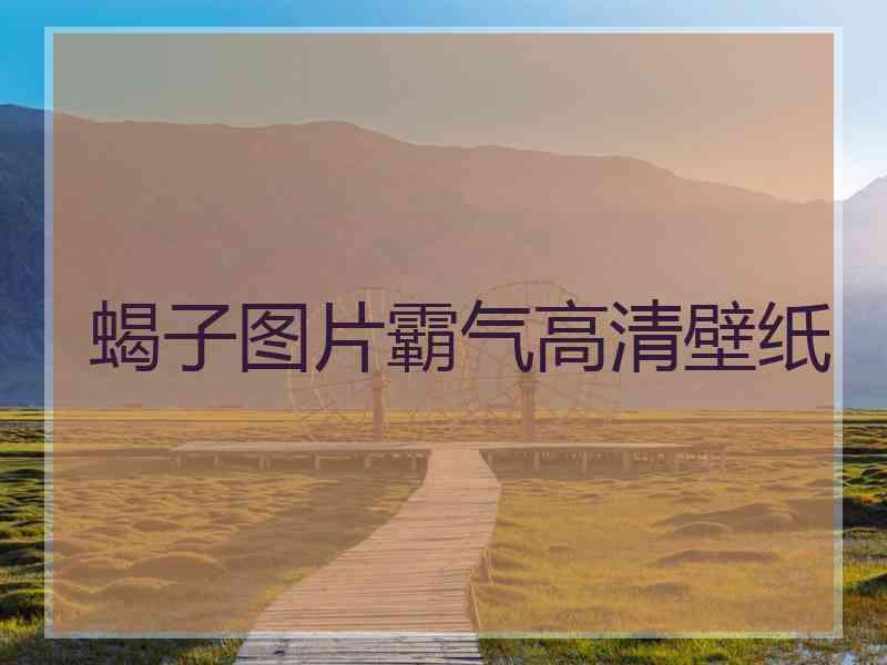 蝎子图片霸气高清壁纸