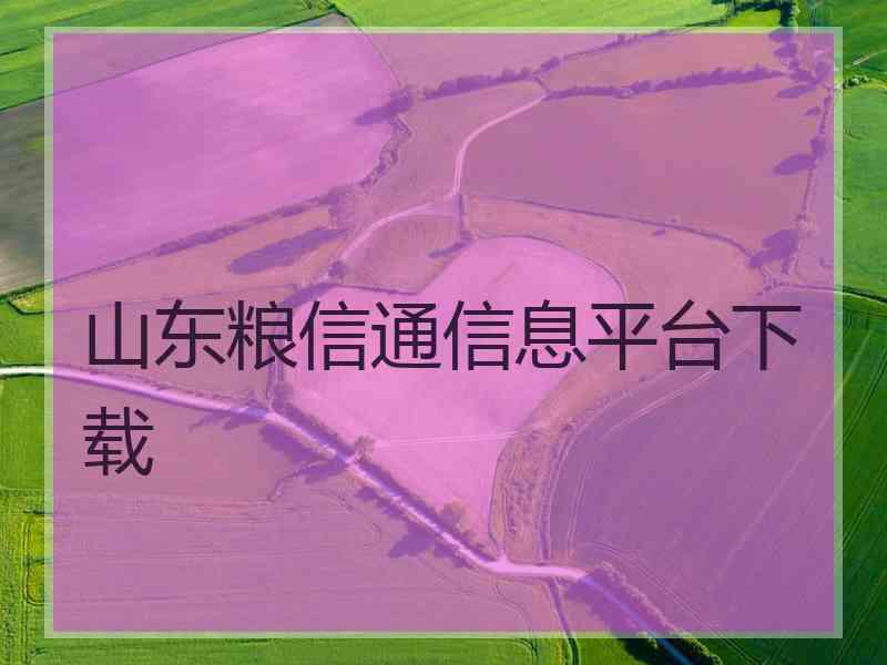 山东粮信通信息平台下载