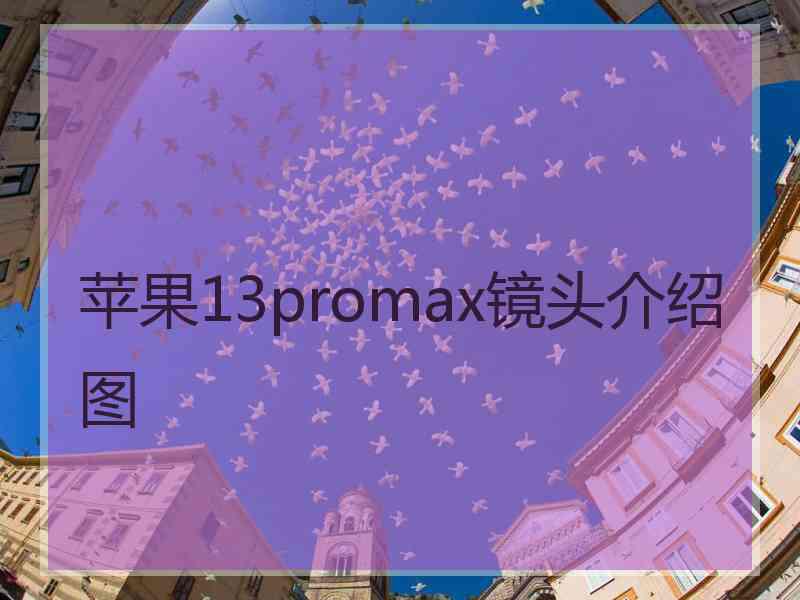 苹果13promax镜头介绍图