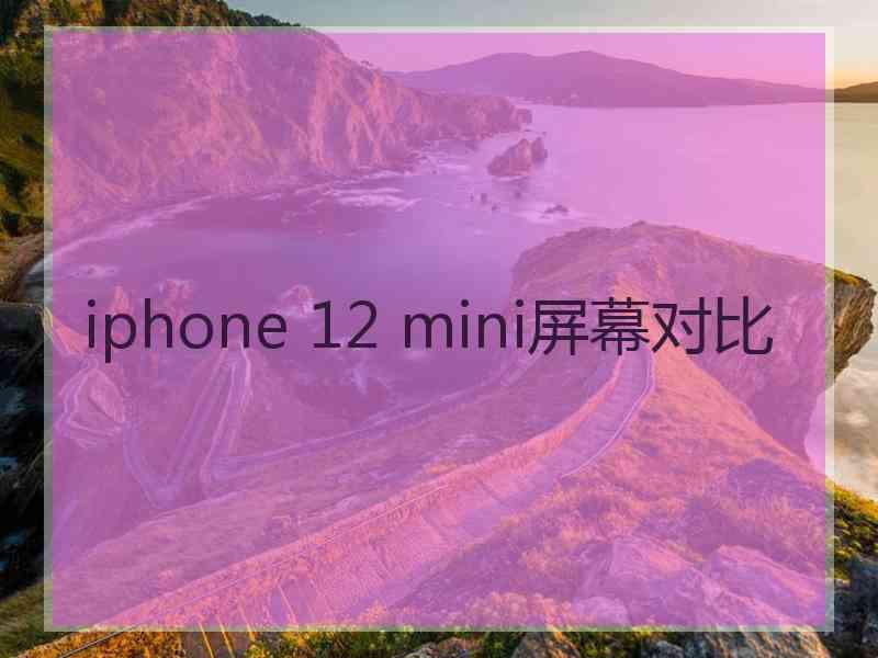 iphone 12 mini屏幕对比