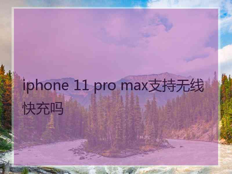 iphone 11 pro max支持无线快充吗