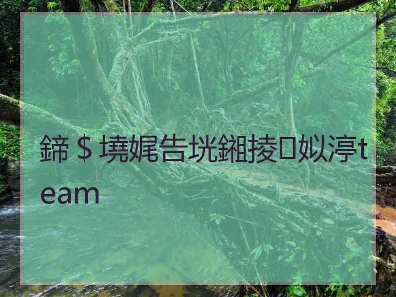 鍗＄墝娓告垙鎺掕姒渟team