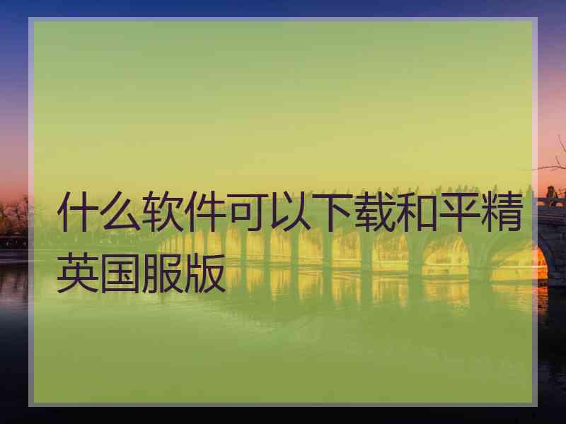 什么软件可以下载和平精英国服版