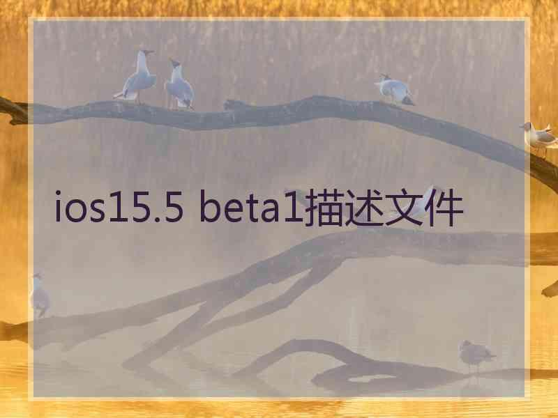 ios15.5 beta1描述文件