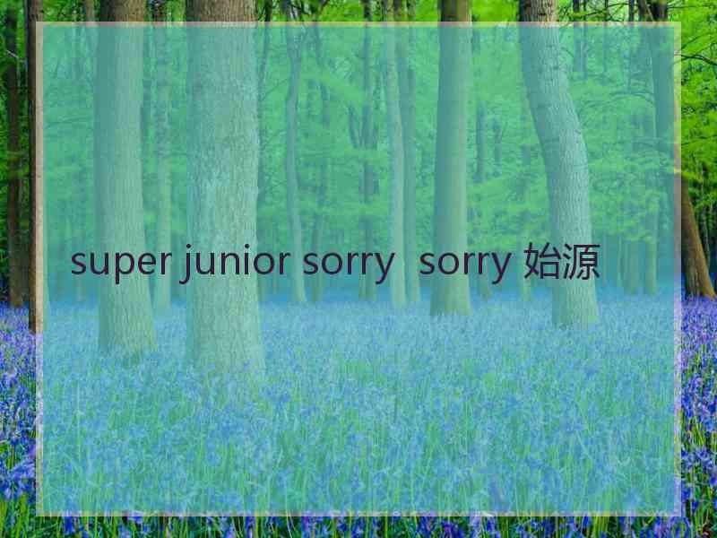 super junior sorry  sorry 始源