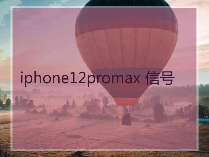 iphone12promax 信号