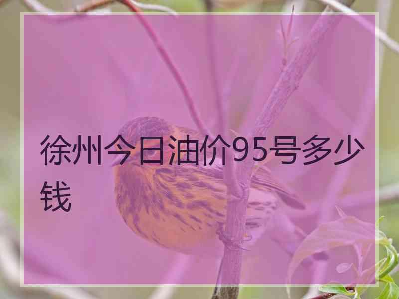 徐州今日油价95号多少钱