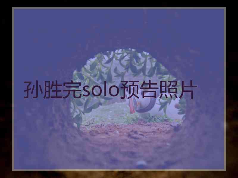 孙胜完solo预告照片