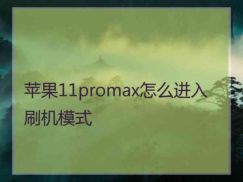 苹果11promax怎么进入刷机模式