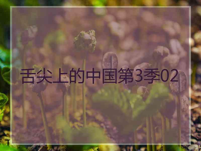 舌尖上的中国第3季02