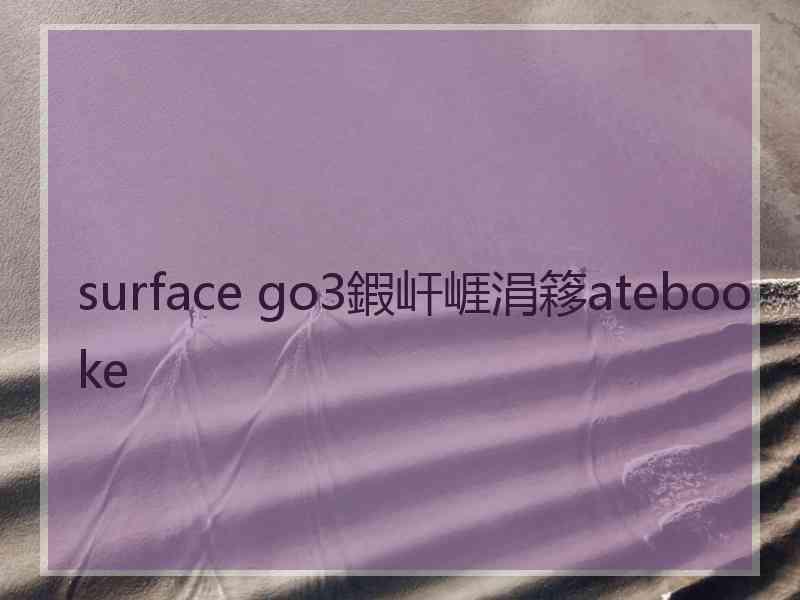 surface go3鍜屽崕涓簃atebooke