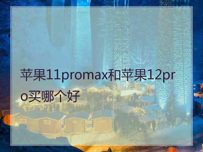 苹果11promax和苹果12pro买哪个好