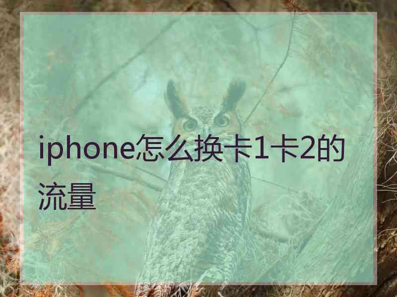 iphone怎么换卡1卡2的流量