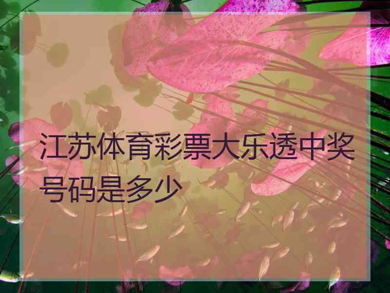 江苏体育彩票大乐透中奖号码是多少