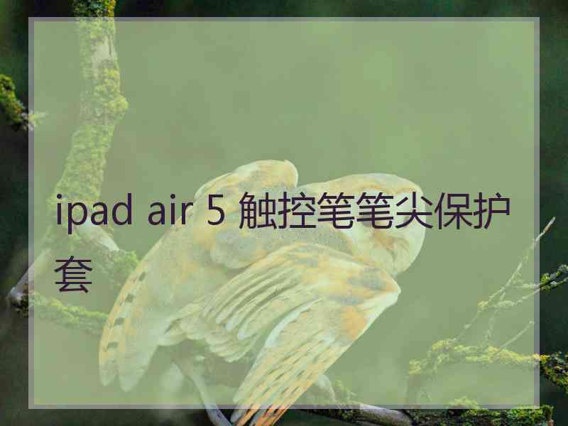 ipad air 5 触控笔笔尖保护套