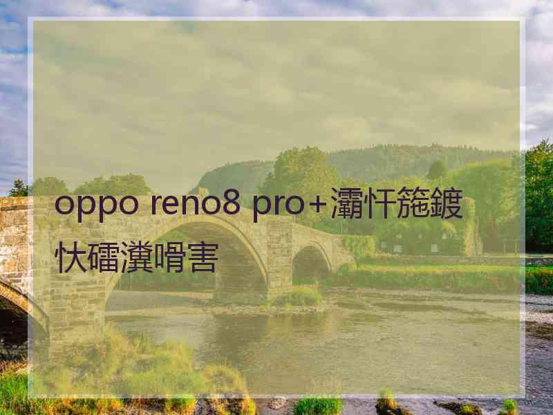 oppo reno8 pro+灞忓箷鍍忕礌瀵嗗害