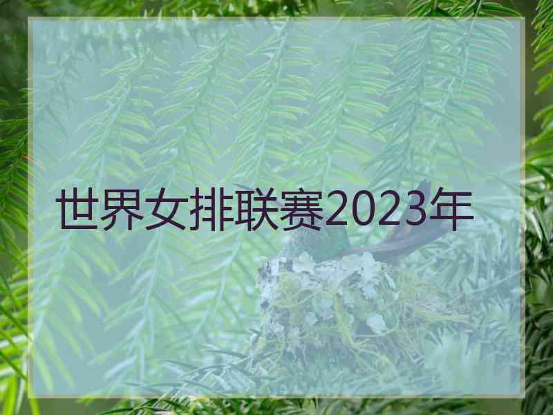 世界女排联赛2023年