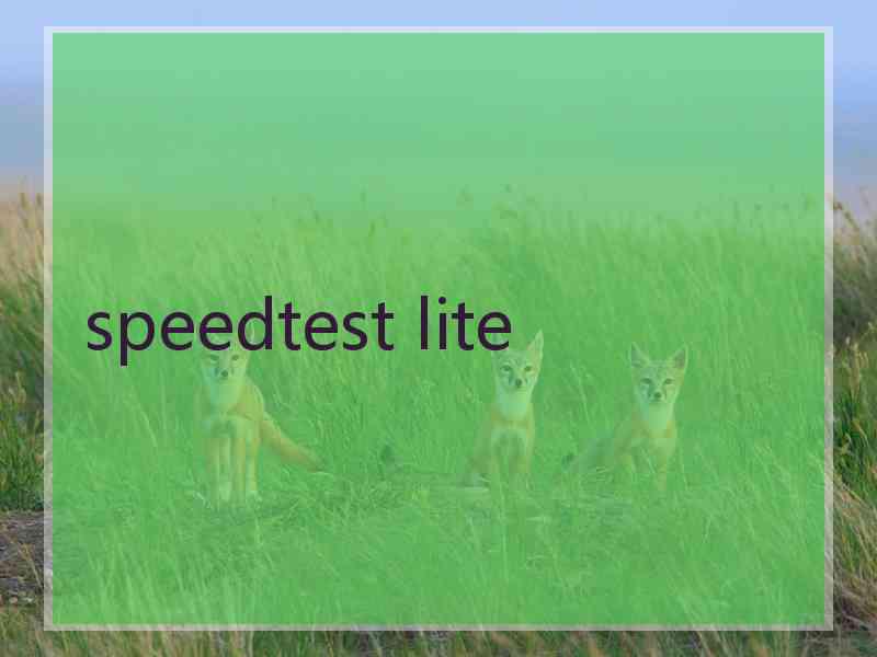 speedtest lite